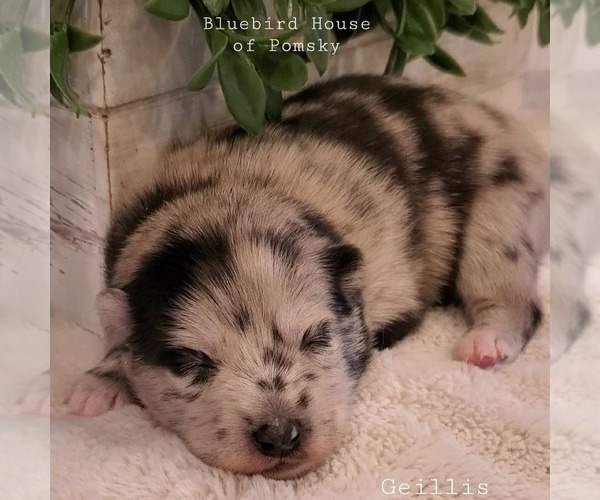 Medium Photo #23  Breeder Profile in BURNS TOWNSHIP, MN, USA