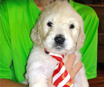 Small #15 Breeder Profile image
