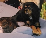 Small #2 Breeder Profile image