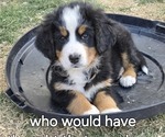 Small #6 Breeder Profile image