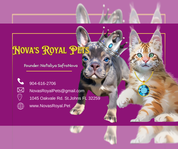 Medium Photo #2  Breeder Profile in SAINT JOHNS, FL, USA