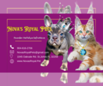 Small #1 Breeder Profile image