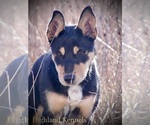 Small #20 Breeder Profile image