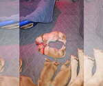 Small #2 Breeder Profile image