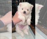 Small #25 Breeder Profile image