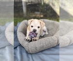 Small #3 Breeder Profile image