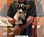 Small #3 Breeder Profile image
