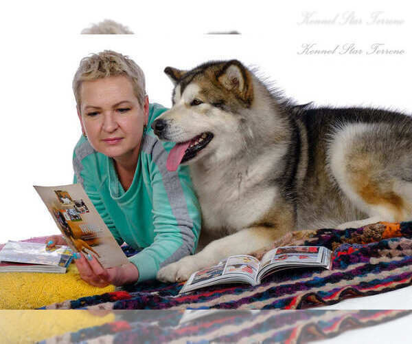 Medium Photo #1  Breeder Profile in Hrodna, Grodnenskaya, Belarus