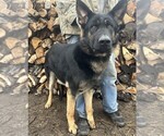 Small breeder photo