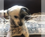 Small #4 Breeder Profile image