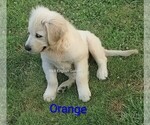 Small #9 Breeder Profile image