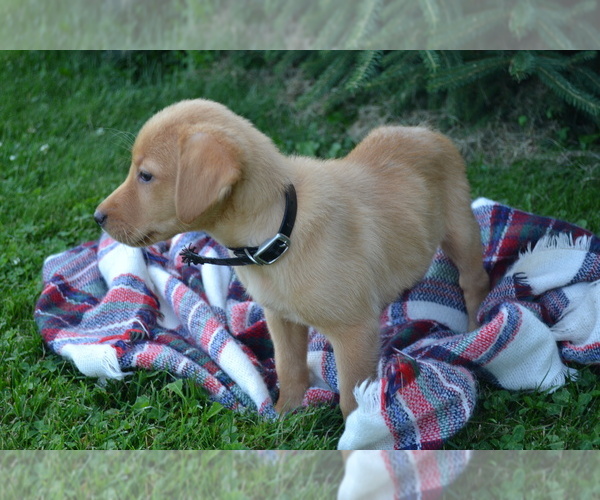 Medium Photo #7  Breeder Profile in OWEN, WI, USA