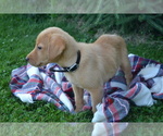 Small #6 Breeder Profile image