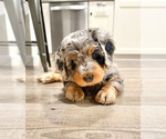 Small #2 Breeder Profile image