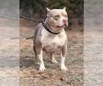 Small Photo #3  Breeder Profile in HOWE, TX, USA