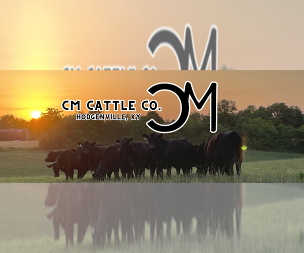 Medium Photo #1  Breeder Profile in HODGENVILLE, KY, USA