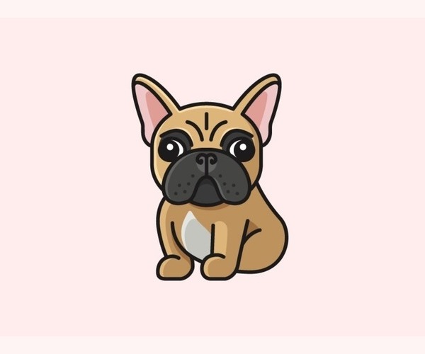 Medium Photo #1  Breeder Profile in JERSEY CITY, NJ, USA
