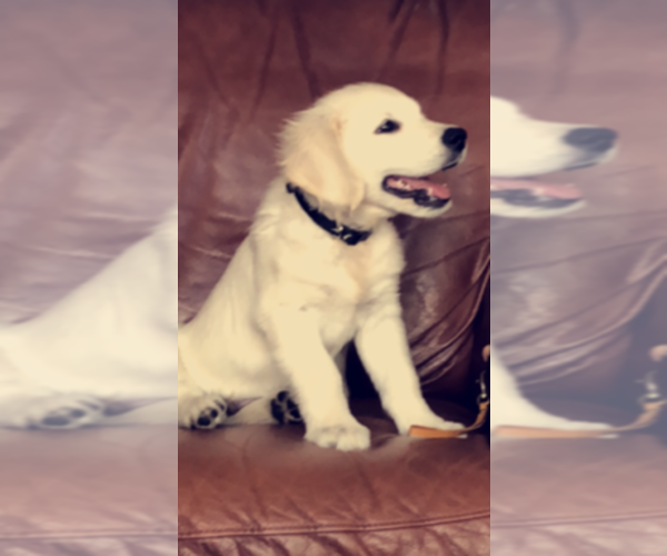 Medium Photo #5  Breeder Profile in COLVILLE, WA, USA