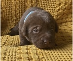 Small #7 Breeder Profile image