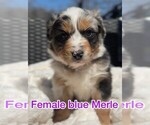 Small #1 Breeder Profile image