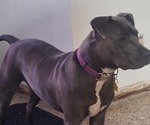 Small #1 Breeder Profile image