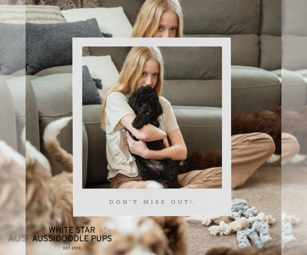 Medium Photo #27  Breeder Profile in SHIOCTON, WI, USA