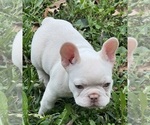 Small #4 Breeder Profile image