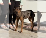 Small #3 Breeder Profile image