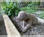 Small Photo #13  Breeder Profile in VALLEY CITY, OH, USA