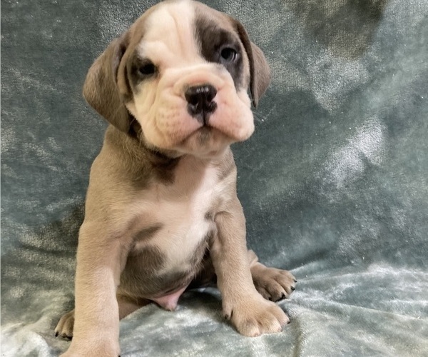 Medium Photo #14  Breeder Profile in CHETEK, WI, USA