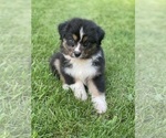 Small #9 Breeder Profile image