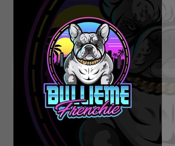 Medium Photo #1  Breeder Profile in HOLLYWOOD, FL, USA