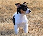 Small #12 Breeder Profile image