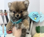 Small #6 Breeder Profile image