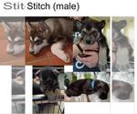 Small #9 Breeder Profile image