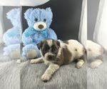 Small #2 Breeder Profile image
