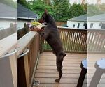 Small #39 Breeder Profile image