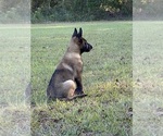 Small #20 Breeder Profile image