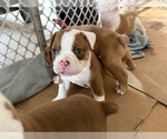 Small #2 Breeder Profile image