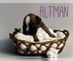 Small #7 Breeder Profile image
