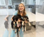 Small #3 Breeder Profile image