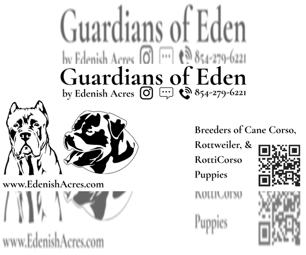 Medium Photo #3  Breeder Profile in REEVESVILLE, SC, USA