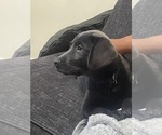 Small #13 Breeder Profile image