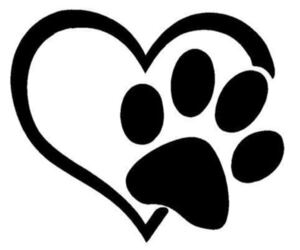 American Corgi Dog Breeder near PITTSBURG, KS, USA