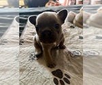 Small #8 Breeder Profile image