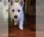 Small #3 Breeder Profile image
