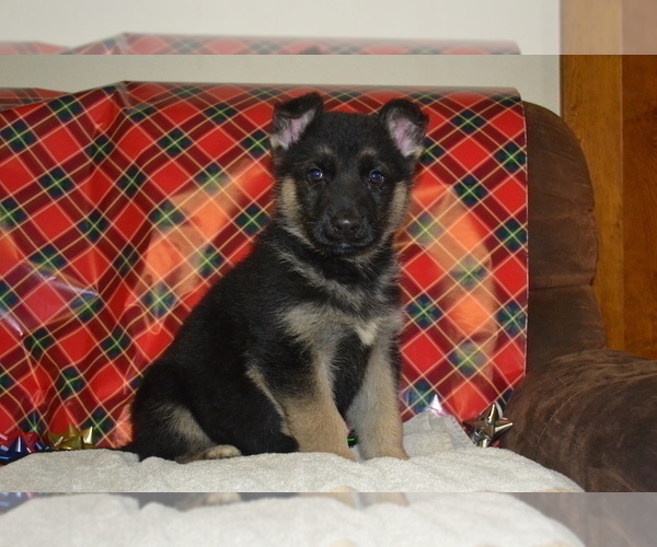 Medium Photo #5  Breeder Profile in GREENWOOD, WI, USA