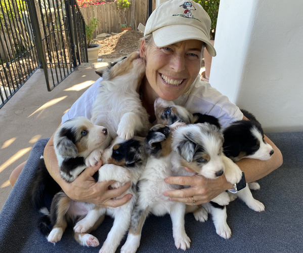 Medium Photo #1  Breeder Profile in SANTA BARBARA, CA, USA