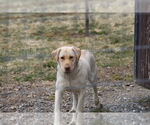 Small #14 Breeder Profile image
