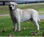 Small #13 Breeder Profile image